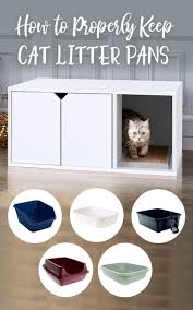How To Properly Keep Cat Litter Pans Cat Litter Pan Cat Litter Cat Room