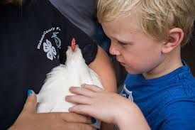 Photos: Wabasha County Fair