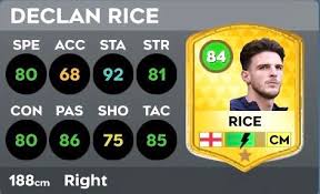 Image result for DLS 80