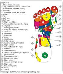 Left Foot Reflexology Foot Map Foot Reflexology Reflexology