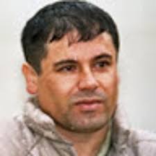 Stream William Österberg music