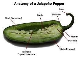 Online ordering menu for issho ni ramen sushi & hibachi. The Science Of Chiles Peppers And Hot Sauces