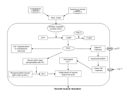 Medical And Surgical Therapy Of Erectile Dysfunction Endotext Ncbi Bookshelf