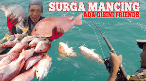 Mancing kakap putih ditambak cara memancing ikan kakap putih ditambak. Spot Mancing Ikan Kakap Merah Hobi Mancing