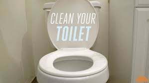 Put the seat down it won t kill you it will make you stronger farmhouse style bathroom sign fa bathroom etiquette bathroom signs bathroom toilet seat down sign bathroom home funny country decor plaque art home decor plaque sign plaque wall prints | read more (please allow. Here S Why You Should Always Close The Toilet Lid When You Flush