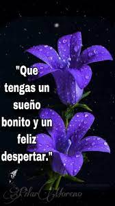 Buenas Noches Video Mejores Frases De Buenas Noches Mensajes Lindos De Buenas Noches Cartelitos De Buenas Noches