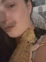 Do you cut your bearded dragon's nails?