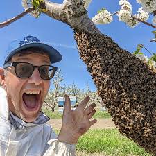 Nature Night Recap: The Remarkable Native Bees of Central Oregon —  Deschutes Land Trust