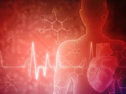 You will have to quarantine if you. Mild Covid 19 Very Unlikely To Cause Lasting Heart Damage Study Health Fitness Gulf News