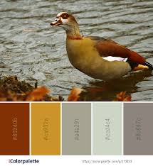 Color Palette Ideas Icolorpalette Colors Inspiration Graphics Design Inspiration Beautiful Colorpalette Palettes Ide Color Palette Color Mixing Color