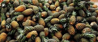 Ananas Pain De Sucre Le Benin A Desormais Un Label De Qualite Hcmediatv