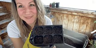 How to Plant Coneflower Seeds Like a Pro