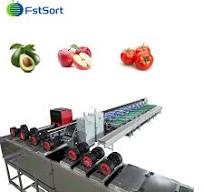 Tomato Optical Sorting Machine with Washing and Drying Line Full Automatic Color Sorter Food Grade Stainless Steel