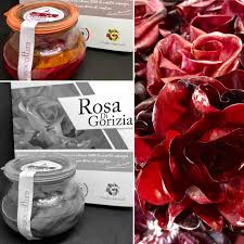 Rosa di gorizia prezzo al kg. Rosa Di Gorizia Il Radicchio Invernale Delle Campagne Goriziane