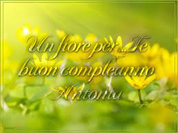 Buon Compleanno Antonia Momolindo
