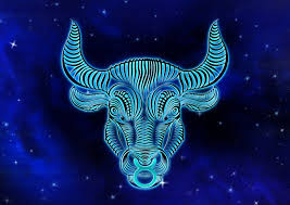 We did not find results for: Blue Taurus The Bull Hd Wallpaper Hintergrund 1920x1357