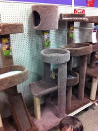 Cat tree plans to make your own cat tree. Learn How To Build A Diy Cat Tower Cat Condo Cat Tree