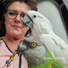 Always close to mom 😅🥰