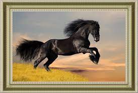 About orenco originals ™ digital counted cross stitch patterns. Needlework For Embroidery Diy The Black Horse Riding Animal 14ct Cross Stitch Kits Art Pattern Counted Cross Stitching Decor 14ct Cross Stitch Kits Cross Stitch Kitsstitching Kit Cross Stitch Aliexpress