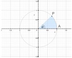 Seno e coseno (e altre grandezze che ricaveremo più sotto) si chiamano funzioni trigonometriche. Le Funzioni Seno E Coseno Matematicamente