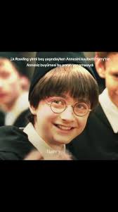 Harry Potter Dr Lily Diary