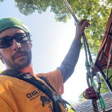 Tree Climbing Safety and Techniques