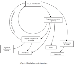 Ncert Class Ix Science Chapter 14 Natural Resources