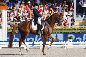 Le duo, deuxième d'un grand prix csi 3* fin février à oliva, a devancé maelle martin avec tempo du plix the duo, second in a 3 csi grand prix * end of february in oliva, ahead of maelle martin with. Dressur Olympiasiegerin Werth Siegt Bei Weltcup Turnier In Salzburg Deutschland Sport Osterreich