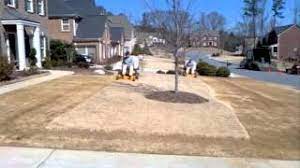 We did not find results for: Spring Scalping Level Lawns Top Dressing Aerate Atlanta Ga