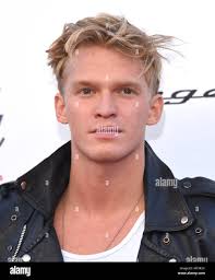 Hollywood, California, USA. 28th Jan, 2018. Cody Simpson arrives for Steven  Tyler's Janie's Fund Gala at Red Studio. Credit: Lisa O'Connor/ZUMA  Wire/Alamy Live News Stock Photo