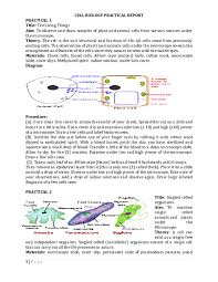 Scanning electron microscope image of nicotiana alata (tobacco plant) upper leaf surface, showing trichomes (also known as `hairs') and a few stomata. Doc Cell Biology Practical Report Ukoro Frank Frank Ukoro Academia Edu