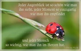 Spruche Zum Nachdenken Dreamies De