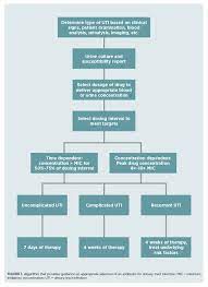 Use Of Antibiotics For Treating Utis In Dogs And Cats Today S Veterinary Practice