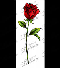 Browse through our gallery of beautiful tattoo pictures and ideas and find the design which suits you be. Sbink Single Red Rose Vine With Names Tattoo Full Size Png Download Seekpng