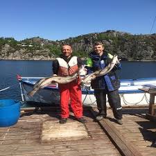 Sotra or store sotra is the name of a large island in øygarden municipality in vestland county, norway, located just west of the city of bergen. Sotra Rorbusenter Wohnungen Apartments