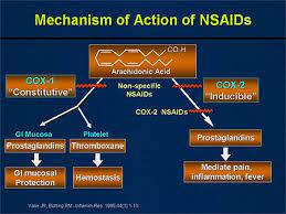 Nsaid Moa Anti Inflammatory Pills Nsaids Natural Anti Inflammatory Supplements