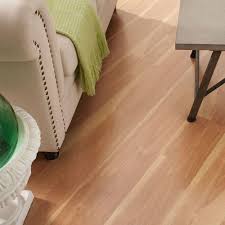 Pennsylvania Traditions Birch 12 Mm Thick X 7 96 In Wide X 47 51 In Length Laminate Flooring 13 13 Sq Ft Case 367841 00 Flooring Laminate Flooring Home