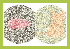 Lihat ide lainnya tentang pola, menggambar pola, pola jahitan. Main Yuk Di 7 Gambar Stereogram Ini Ada Binatang Binatang Imut Lho Minews Id