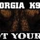 16th Annual South Georgia K9 Seminar event image