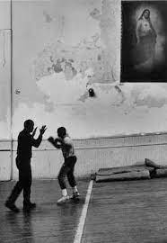 On Boxing Joyce Carol Oates Photographs By John Ranard Photo Photographer Photography