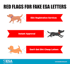 With a valid esa letter, you and your emotional support animal are eligible for legal protections, such as being able to travel with your esa in the cabin free of charge. How To Ask A Doctor For An Emotional Support Animal Letter Esa Doctors
