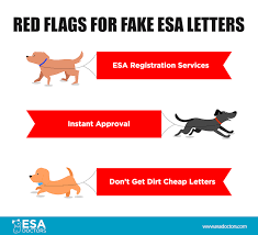 Assessment by a licensed mental health professional. How To Ask A Doctor For An Emotional Support Animal Letter Esa Doctors