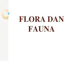 Fauna yang diternakkan fauna yang banyak diternakkan oleh manusia dan banyak terdapat di benua asia seperti sapi, kerbau, kuda, domba, dan unta. Flora Dan Fauna Pptx Powerpoint