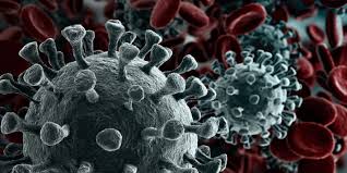 May 18, 2021 | fda. Who Declares Public Health Emergency On Novel Coronavirus Paho Who Pan American Health Organization