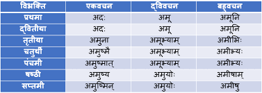 Vah Adas Napunsak Ling Shabd Roop In Sanskrit अद स वह नप सकल ग शब द क र प भ द च ह न उद हरण स स क त व य करण A Plus Topper