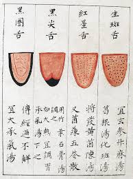 Chinese Tongue Diagnosis Chart 1341 Greeting Card