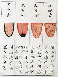 chinese tongue diagnosis chart 1341 greeting card