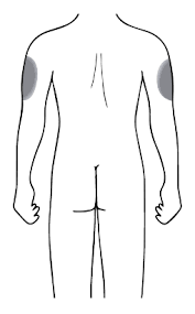 Https Www Medicines Org Uk Emc Files Pil 5327 Pdf