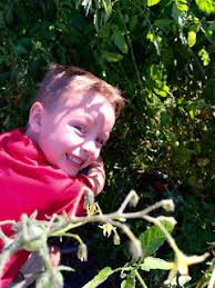 Kindergarten: Room 215: August 2015