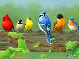 We have an extensive collection of amazing background images carefully chosen by our community. Free Download Beautiful Birds Wallpaper For Desktop Download Of Cool Birds 800x600 For Your Desktop Mobile Tablet Explore 50 Beautiful Birds Wallpaper Blue Bird Wallpaper Beautiful Parrots Wallpapers Beautiful